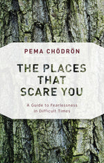 Book cover for The Places That Scare You: A Guide to Fearlessness in Difficult Times