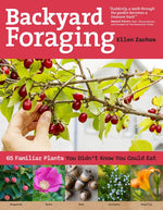 Book cover for Backyard Foraging: 65 Familiar Plants You Didn't Know You Could Eat