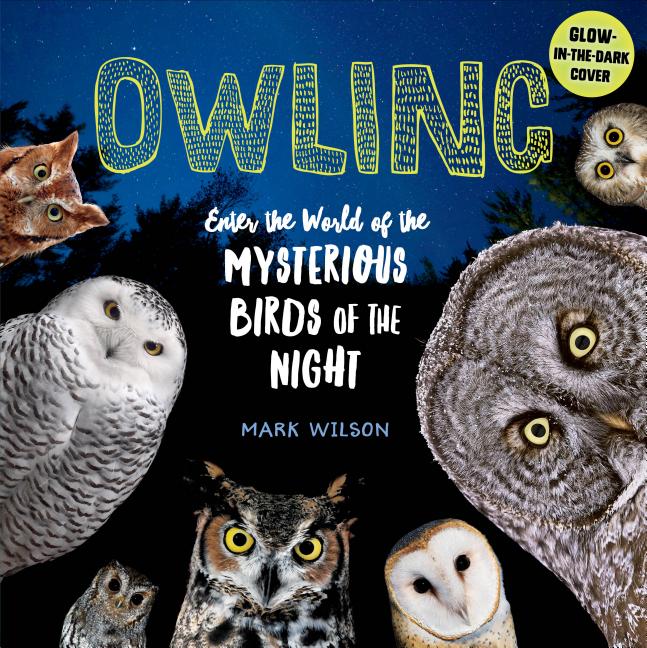 Book cover for Owling: Enter the World of the Mysterious Birds of the Night