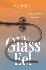 Book cover for Glass Eel
