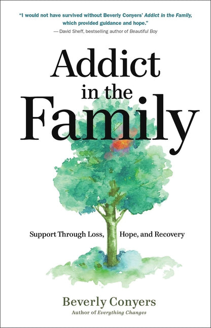 Book cover for Addict in the Family: Support Through Loss, Hope, and Recovery