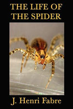 Book cover for The Life of the Spider
