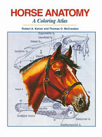 Book cover for Horse Anatomy: A Coloring Atlas