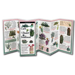 Book cover for Cacti of the Desert Southwest