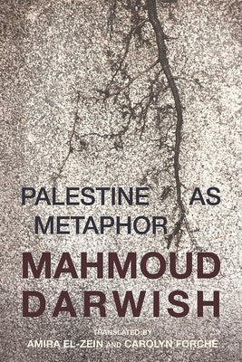 Book cover for Palestine as Metaphor