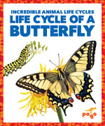 Book cover for Life Cycle of a Butterfly