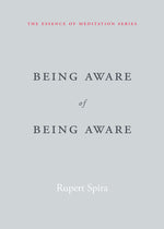 Book cover for Being Aware of Being Aware