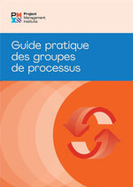 Book cover for Process Groups: A Practice Guide (French)