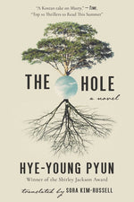 Book cover for The Hole