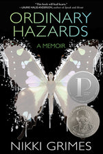 Book cover for Ordinary Hazards: A Memoir