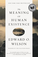 Book cover for The Meaning of Human Existence