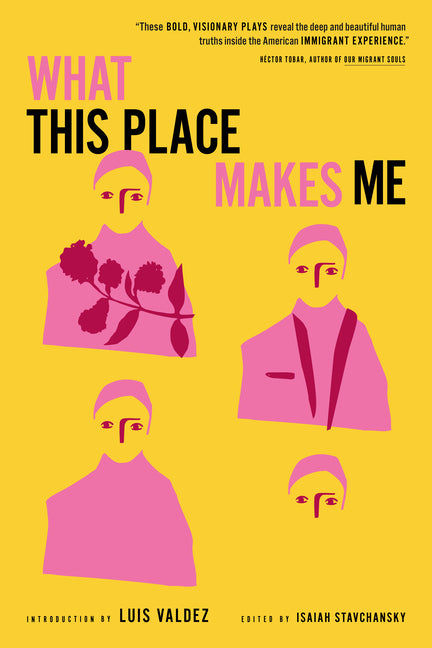 Book cover for What This Place Makes Me: Contemporary Plays on Immigration