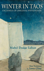 Book cover for Winter in Taos