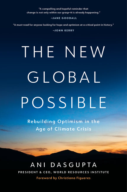 Book cover for New Global Possible: Rebuilding Optimism in the Age of Climate Crisis