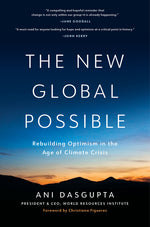 Book cover for New Global Possible: Rebuilding Optimism in the Age of Climate Crisis