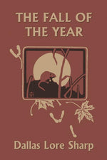 Book cover for The Fall of the Year