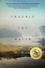 Book cover for Trouble The Water