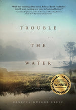 Book cover for Trouble The Water