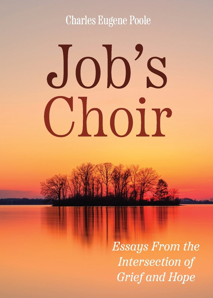 Book cover for Job's Choir