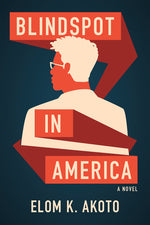 Book cover for Blindspot in America