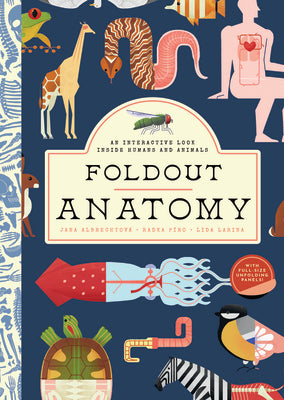Book cover for Foldout Anatomy: An Interactive Look Inside Humans and Animals