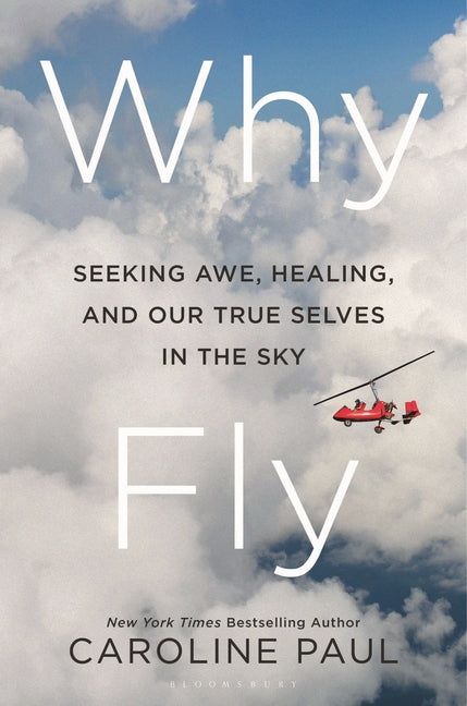 Book cover for Why Fly: Seeking Awe, Healing, and Our True Selves in the Sky