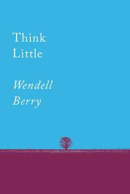 Book cover for Think Little: Essays