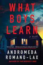 Book cover for What Boys Learn
