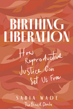 Book cover for Birthing Liberation: How Reproductive Justice Can Set Us Free