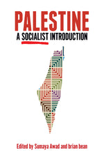 Book cover for Palestine: A Socialist Introduction
