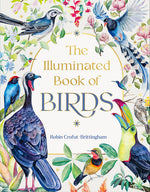 Book cover for Illuminated Book of Birds