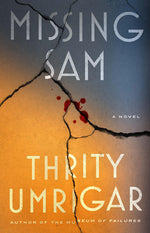 Book cover for Missing Sam