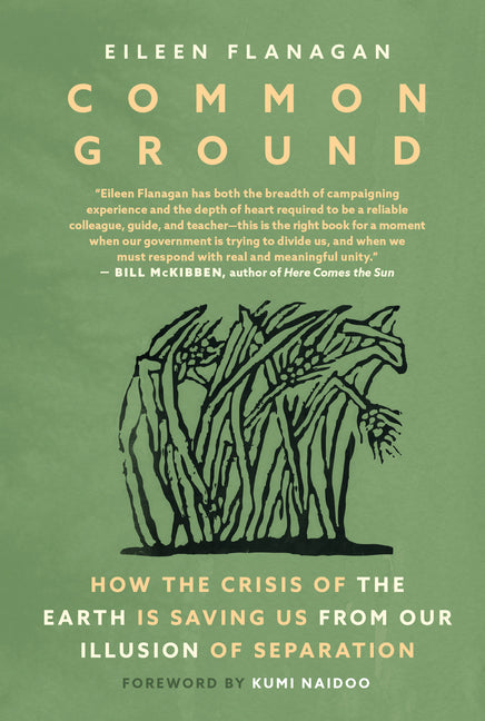 Book cover for Common Ground: How the Crisis of the Earth Is Saving Us from Our Illusion of Separation