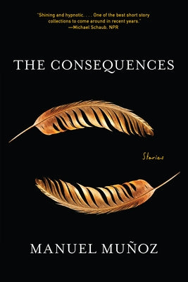 Book cover for The Consequences: Stories