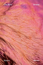 Book cover for Rose: Poems