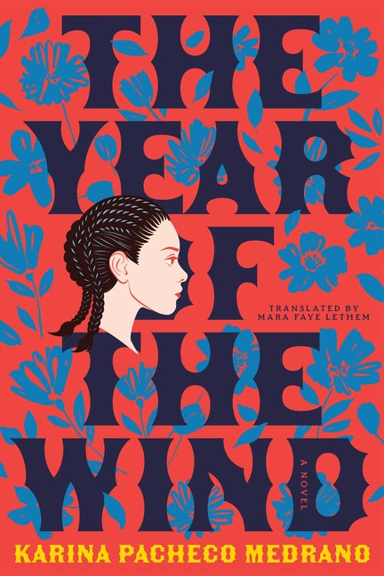Book cover for Year of the Wind