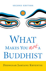 Book cover for What Makes You Not a Buddhist