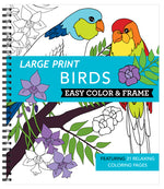 Book cover for Large Print Easy Color & Frame - Birds (Stress Free Coloring Book)