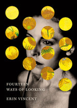 Book cover for Fourteen Ways of Looking