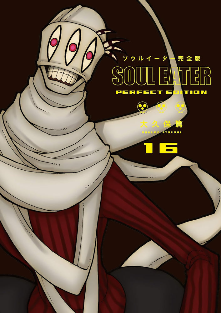 Book cover for Soul Eater: The Perfect Edition 16