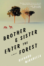 Book cover for Brother & Sister Enter the Forest