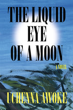 Book cover for The Liquid Eye of a Moon