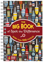 Book cover for The Big Book of Spot the Difference
