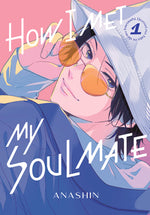 Book cover for How I Met My Soulmate 1