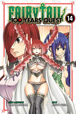 Book cover for Fairy Tail: 100 Years Quest 14