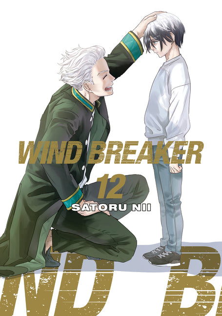 Book cover for Wind Breaker 12