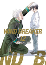 Book cover for Wind Breaker 12