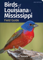 Book cover for Birds of Louisiana & Mississippi Field Guide (Revised)
