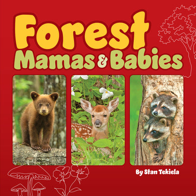 Book cover for Forest Mamas & Babies