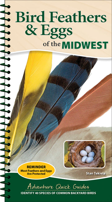 Book cover for Bird Feathers & Eggs of the Midwest: Identify 40 Species of Common Backyard Birds